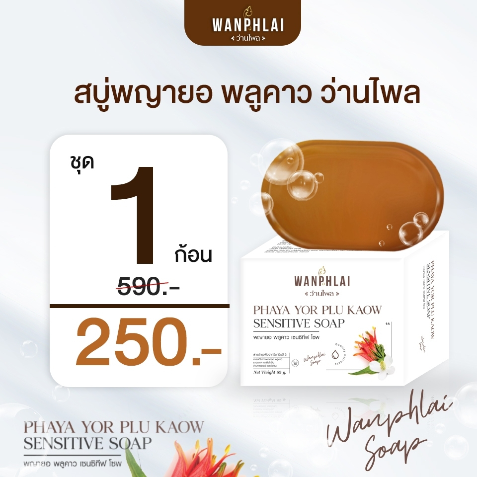 สบู่พญายอ พลูคาว แก้คัน น้ำเหลืองเสีย แก้สิวเม็ดผดผื่นคัน รักษาเริม งูสวัด ขาลาย ผิวเป็นขุย (1 ก้อน)