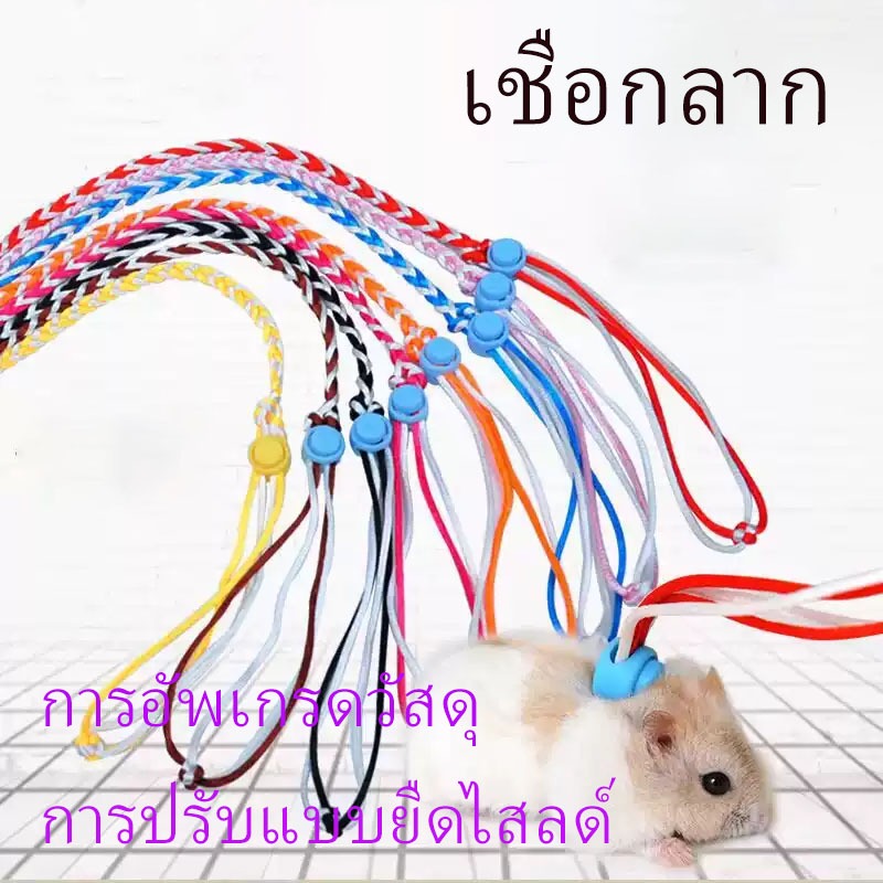 สายจูงนกแก้วนกหนูแฮมสเตอร์แบบปรับได้ สายจูงสัตว์เลี้ยง สายรัดกลางแจ้ง เชือกฝึกป้องกันการกัด เข็มขัดบิน