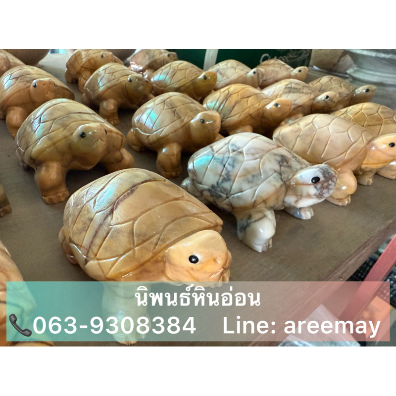 เต่าหินอ่อน ทรงขาชัด/ตัว
