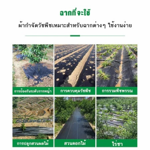 พลาสติกคลุมวัชพืช ผ้าคลุมหญ้า ผ่านการทดลองใช้งานจริง ฆ่าหญ้า1x5 2x50 1x100 2x100 3x100 กำจัดหญ้า พลาสติกคลุมดิน - รูปที่ 5