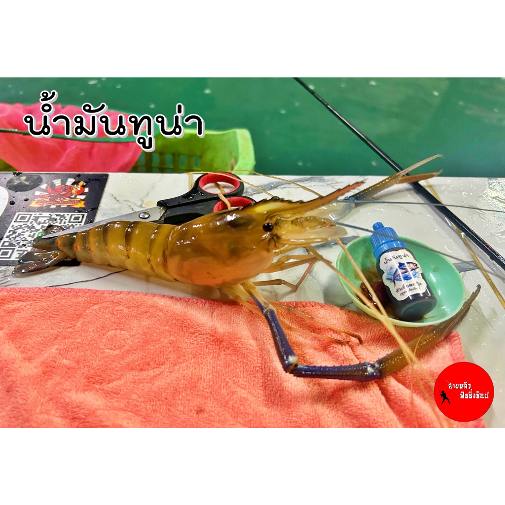 หัวเชื้อตกกุ้งน้ำมันทูน่า สูตรเข้มข้น10ml ขวดหยด สำหรับตกกุ้งบ่อ กุ้งแม่น้ำ