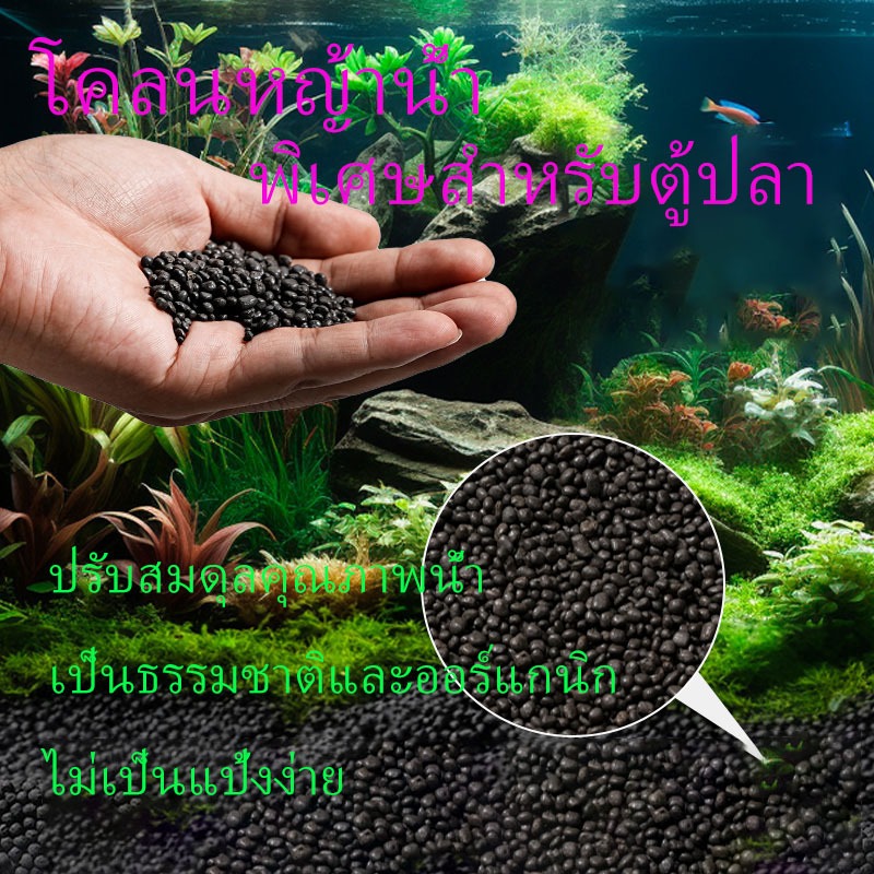 พืชน้ำตู้ปลา พืชโคลน เมล็ดพืช ดิน ถังปลา ก้นทราย สารอาหารดิน โคลนดำ พืชน้ำ ถังล่าง ปุ๋ยดิน