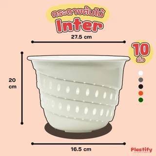 Plastify 🌿 กระถางเร่งราก Inter 🌿 (อินเตอร์เพาะชำ) ขนาด 10" 12" 15" มีให้เลือก 5 สี