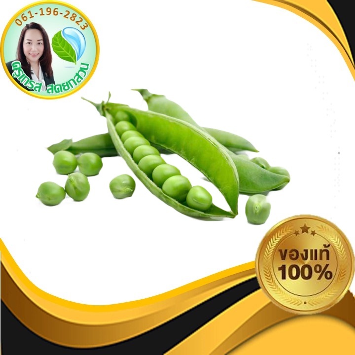 เมล็ดพันธุ์ถั่วลันเตาหวาน