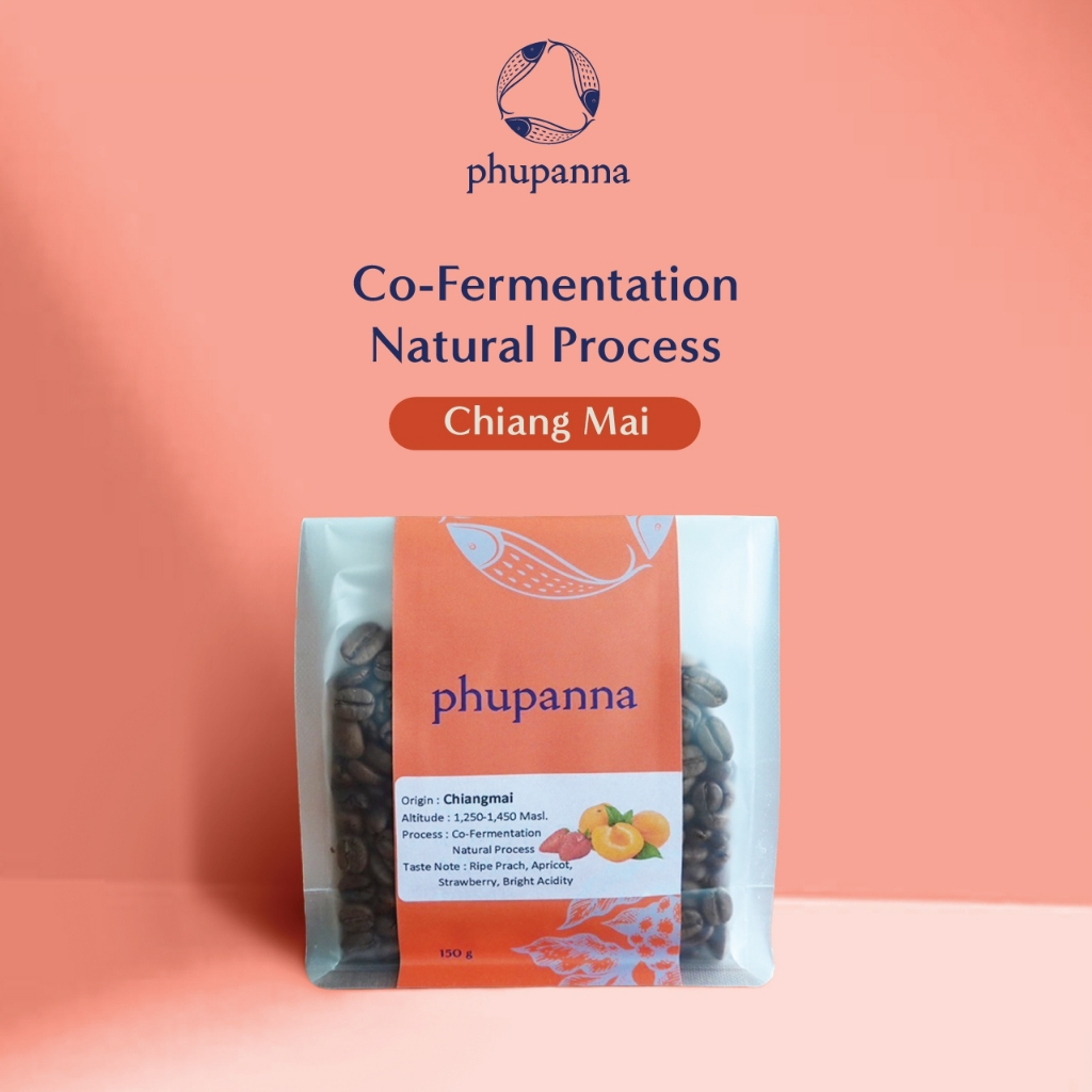เมล็ดกาแฟคั่วอ่อน Co-Fermentation 150 G. Produce By Phupanna