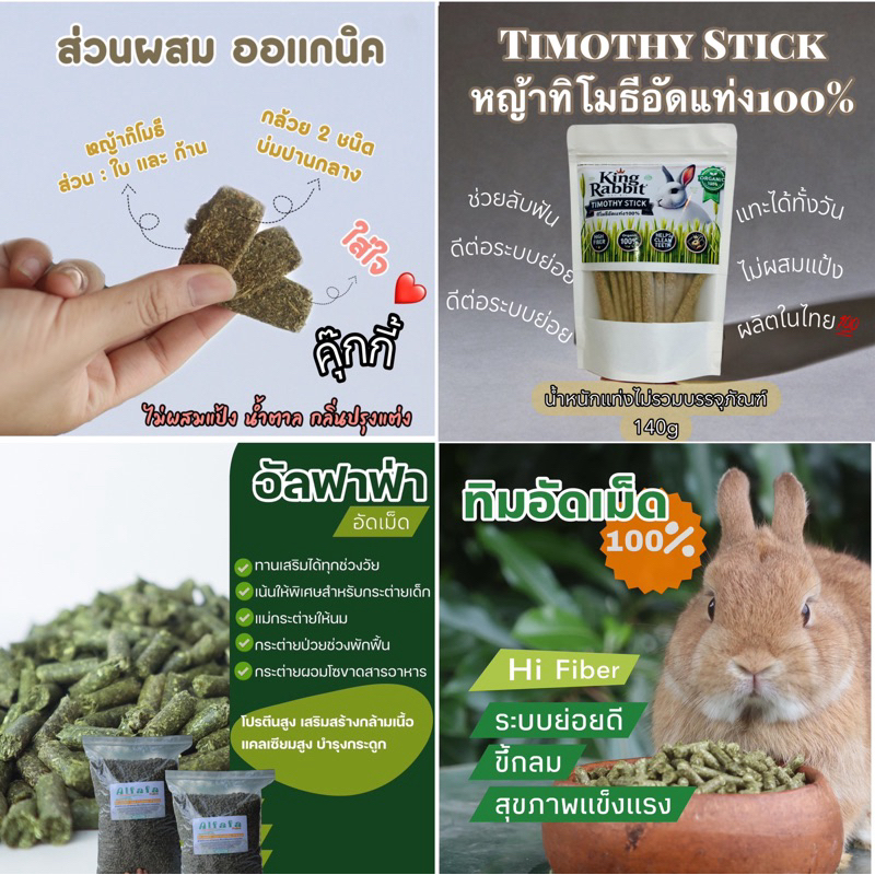 ลดแรง1วัน ด่วน‼️‼️ รวมอาหารกระต่าย หนุแกสบี้ ชิลชิลล่า สัตวฟันแทะทุกชนิด