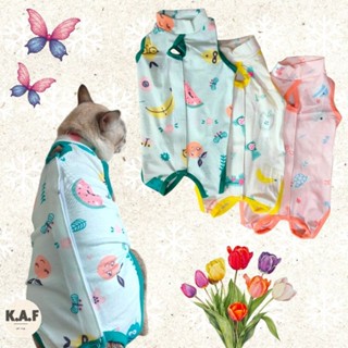 (HP07)เสื้อทำหมัน+กันเลียแผลสัตว์เลี้ยง (*พร้อมส่งจากไทย!!*)…