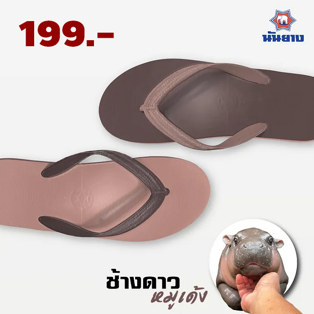 รองเท้าช้างดาว หมูเด้ง! รุ่น Limited Edition ของแท้แน่นอน เช็คตัวแทนจาก Website Nanyang ได้เลยค่ะ Na