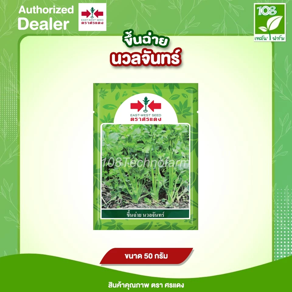 เมล็ดพันธุ์ ขึ้นฉ่าย นวลจันทร์ ตราศรแดง ขนาด 50/350 กรัม