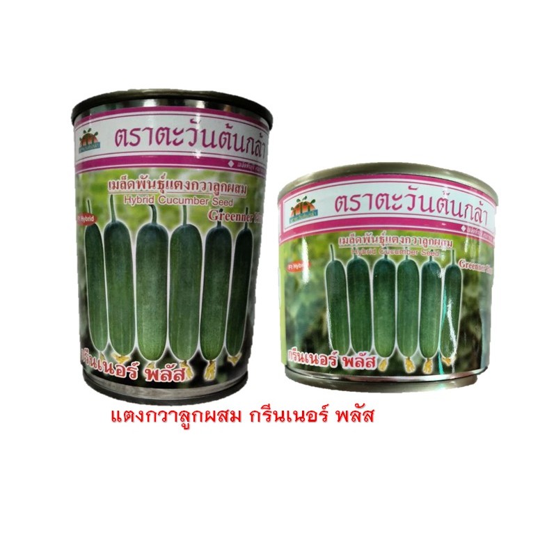เมล็ดพันธุ์แตงกวา กรีนเนอร์พลัส (ตราตะวันต้นกล้า) ขนาด 50 กรัม และขนาด 100 กรัม