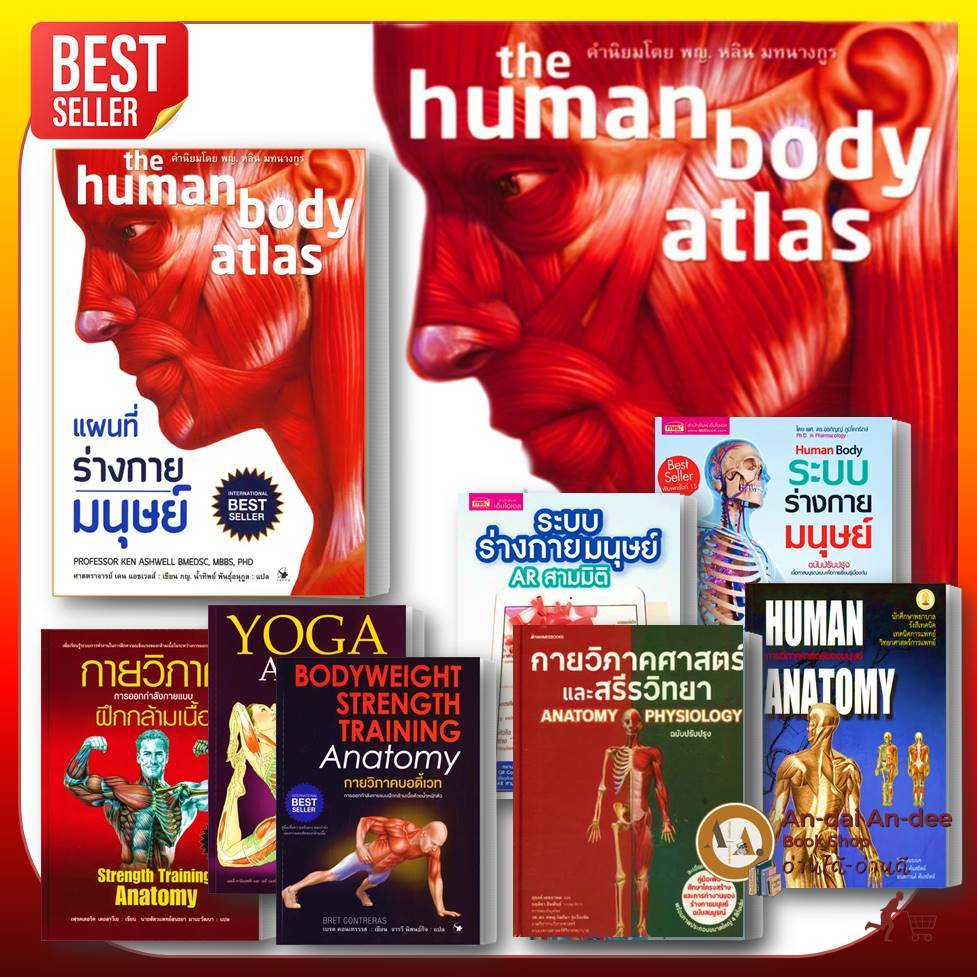 หนังสือ แผนที่ ร่างกายมนุษย์ HUMEN ANATOMY / กายวิภาค /โยคะ/ออกกำลังกาย/ระบบร่างกายมนุษย์/กายวิภาค #BK03 set 5