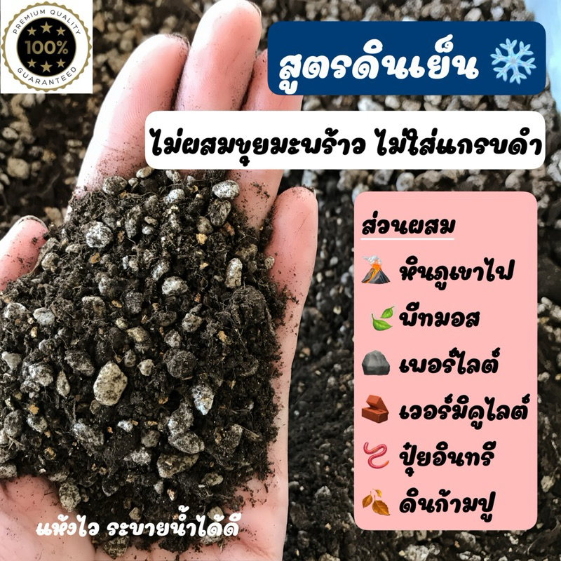 ดินพร้อมปลูกสำหรับแคคตัส เกรดพรีเมี่ยม 500 กรัม แถมฟรีเมล็ดแอสโตรสำหรับการทดลองปลูก สตาร์เกิ้ลจี และปุ๋ยละลายช้า