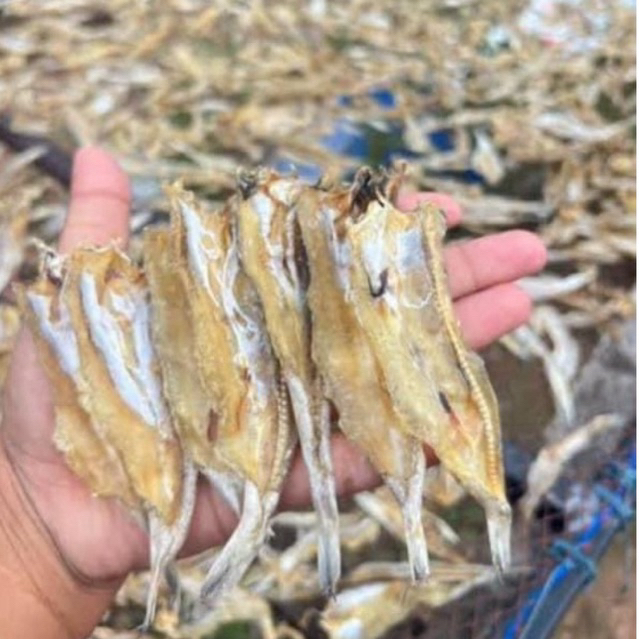ปลาช่อนทะเล ตากแห้ง ไซส์จิ๋ว จืด สะอาด ถูกหลักอนามัย ขนาด 500 กรัม