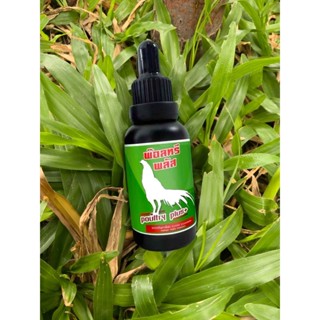 อาหารเสริมชุดอีเกิ้ลสปีด พ๊อลทรี-พลัส