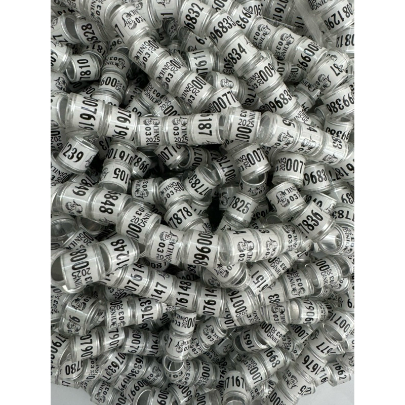 ห่วงนกพิราบขนาด9mmสินต้าพร้อมส่งในไทย  ห่วงนกพิราบขนาด9mmสินต้าพร้อมส่งในไทยห่วงละ7บาท(ห่วงปี2025)