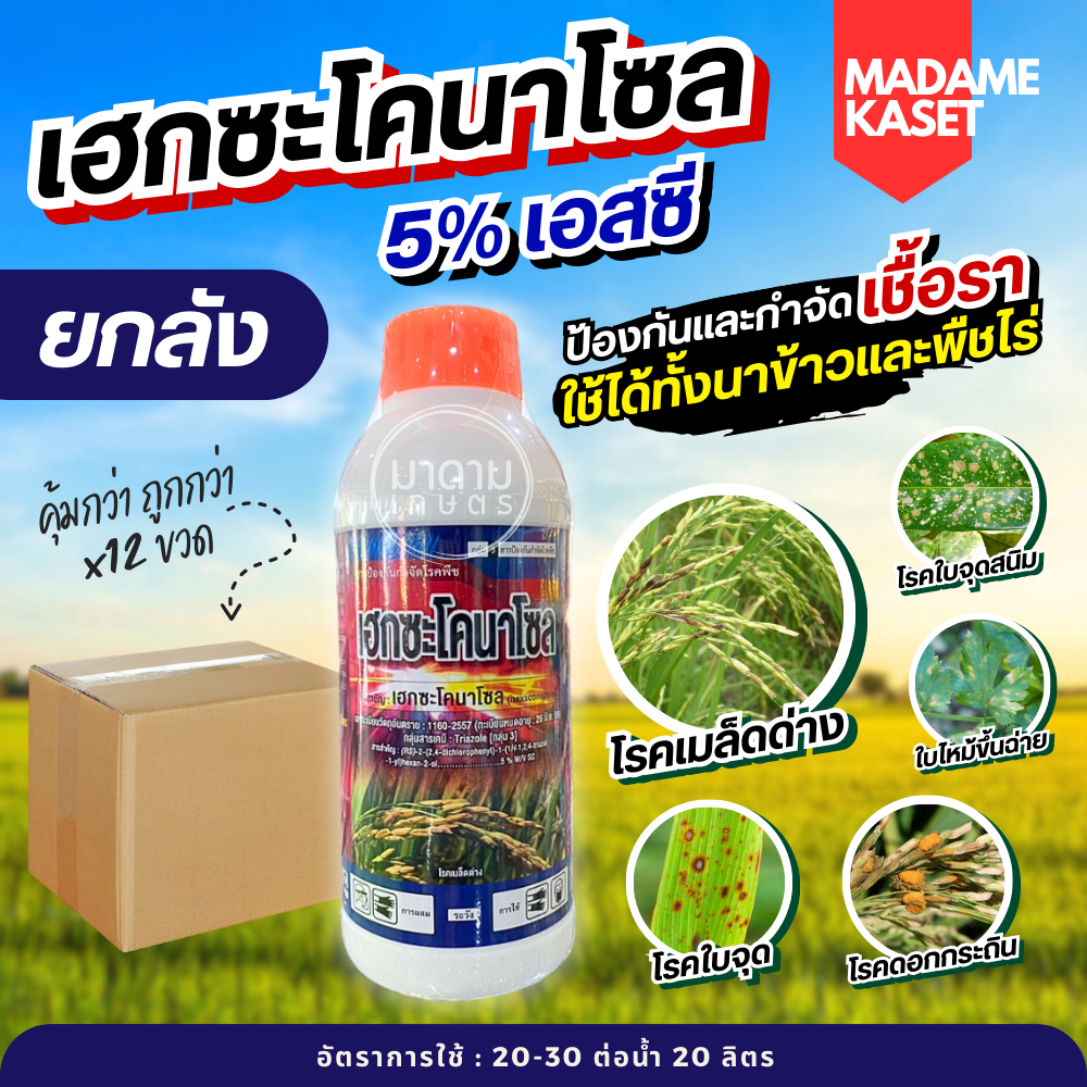 ยกลัง 12 ขวด**จำกัดออเดอร์ละ1ลัง** | ขายดี! เฮกซะโคนาโซล สูตรน้ำครีม 1 ลิตร ของแท้ฝาส้ม! ป้องกันพร้อมหยุดเชื้อราในนาข้าว