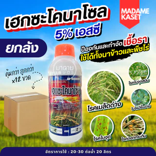 ยกลัง 12 ขวด**จำกัดออเดอร์ละ1ลัง** | ขายดี! เฮกซะโคนาโซล สูตรน้ำครีม 1 ลิตร ของแท้ฝาส้ม! ป้องกันพร้อมหยุดเชื้อราในนาข้าว