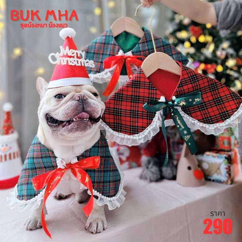 ผ้าคลุมไหล่ลายสก๊อต Merry Christmas