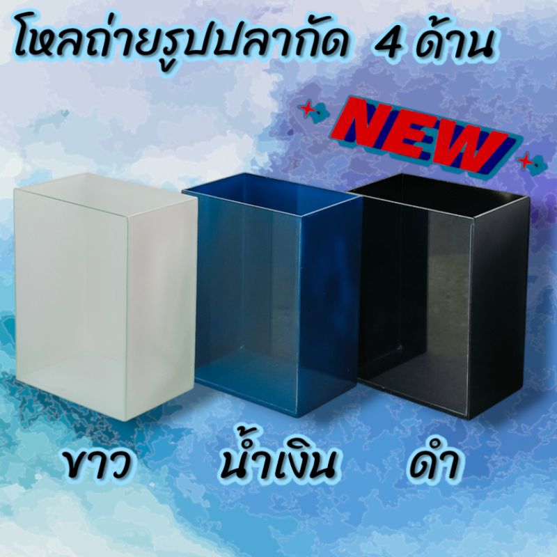 โหลถ่ายรูปปลากัด มีพื้นหลังสี 4 ด้าน กระจกหนา 3 มิน