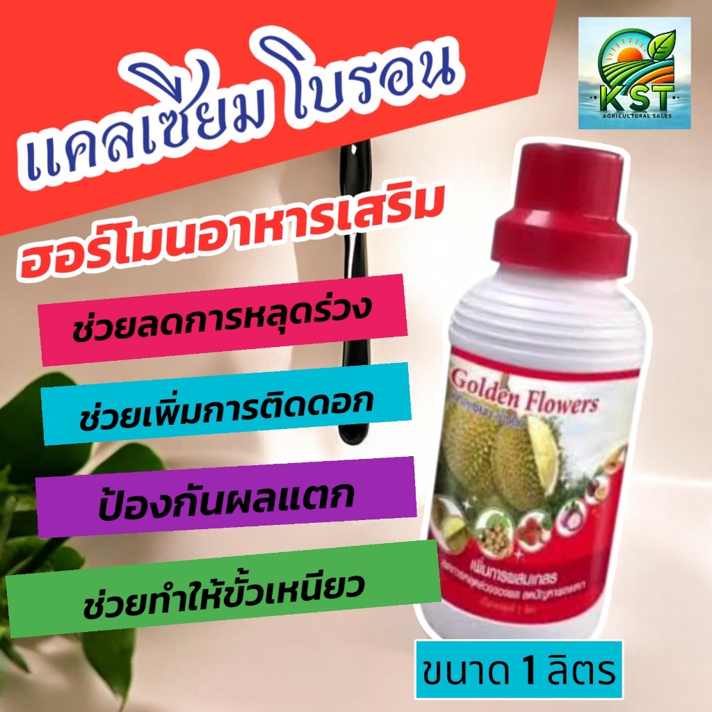 แคลเซียม โบรอน Golden Flower ขนาด 1ลิตร อาหารเสริมพืช ขั้วเหนียว ขยายผล ติดช่อดี ดอกไม่ร่วง ลดปัญหาผลแตกร่วง เพิ่มผลผลิต