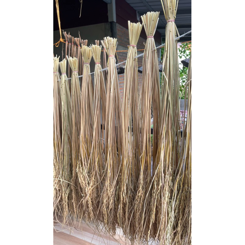 รวงข้าวแห้งธรรมชาติใช้ประดับตกแต่งตัดก้านยาว35-40cm.(1กำ50ชิ้น)