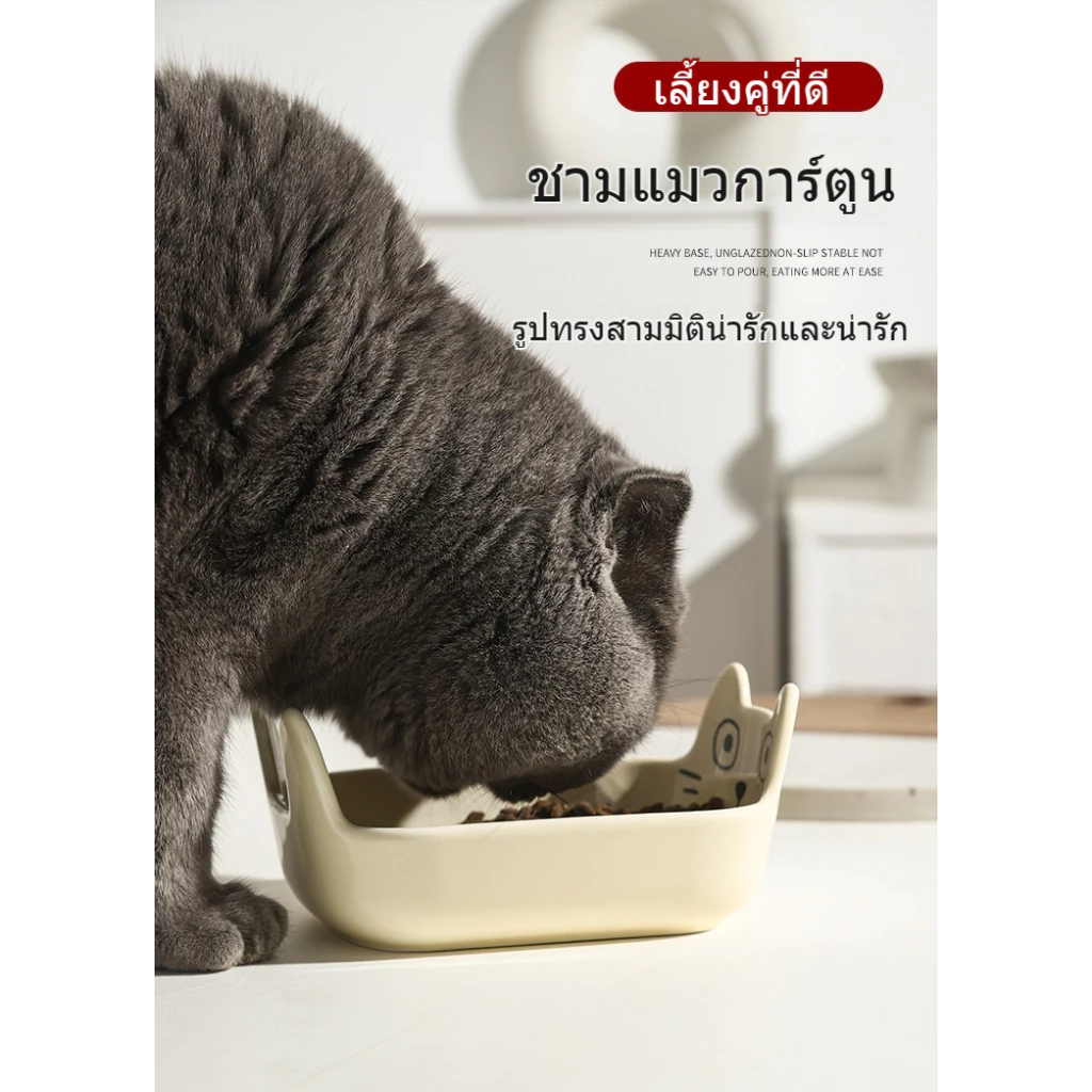 【สินค้าสปอต】ชามอาหารแมว เซรามิกคุณภาพสูง ชามอาหารสัตว์ แบบใหม่ ครับ ชามอาหารสัตว์เลี้ยง thumbnail 7