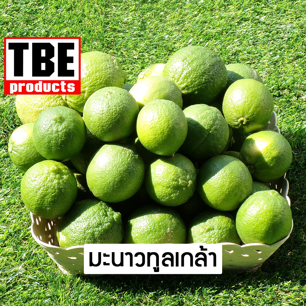 TBE มะนาว ไร้เมล็ด 1 กิโลกรัม (ทูลเกล้า)