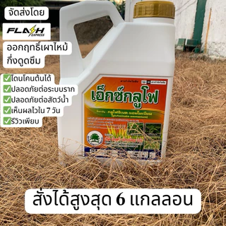 เอ็กซ์กลูโฟ*4ลิตร กลูโฟซิเนตแอมโมเนียม ออกฤทธิ์แบบเผาไหม้กึ่งดูดซึม กำจัดได้ทั้งใบแคบใบกว้าง