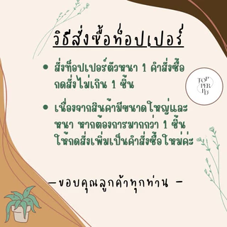 ที่นอนท็อปเปอร์ หนา 4 นิ้ว ผ้าคอตตอน กันไรฝุ่น