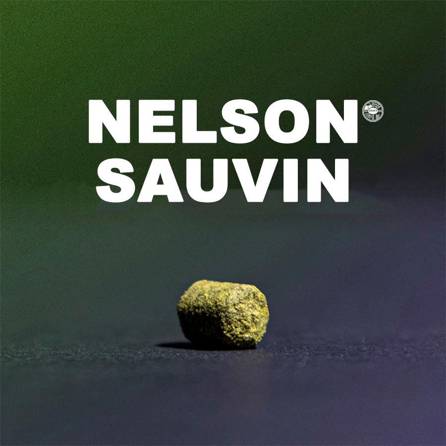 ฮอป ทำเบียร์ Nelson Sauvin Hops | คราฟท์ คอมโพเนนท์