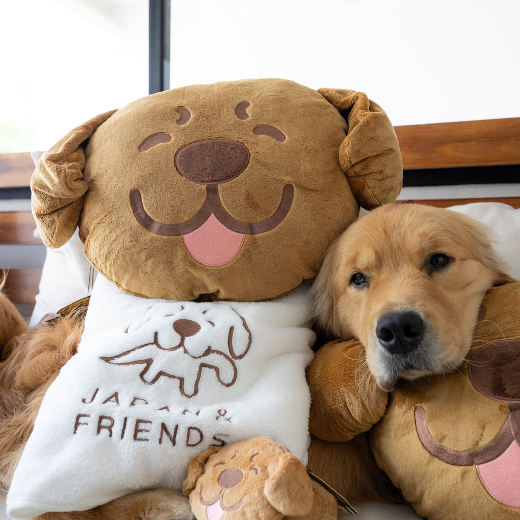 หมอนผ้าห่ม หน้าจุ๊มเหม่ง Pillows (ไม่มีกระเป๋าใส่เหรียญ)