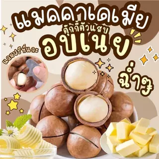 (ส่งไว)1แถม1 ถุงละ250g. แมคคาเดเมีย เม็ดใหญ่ เปลือกบาง เนื้อเยอะ ตุ๊กกี้ตัวแสบ