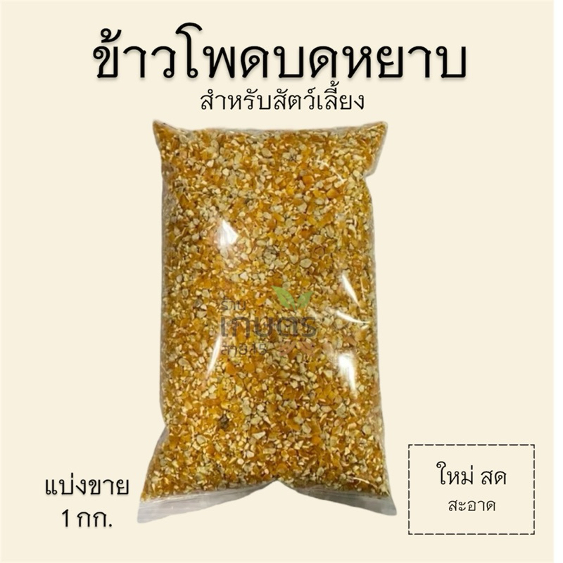 ข้าวโพดบดหยาบ เม็ดแตก สำหรับสัตว์เลี้ยง แบ่งขาย 1 กิโลกรัม