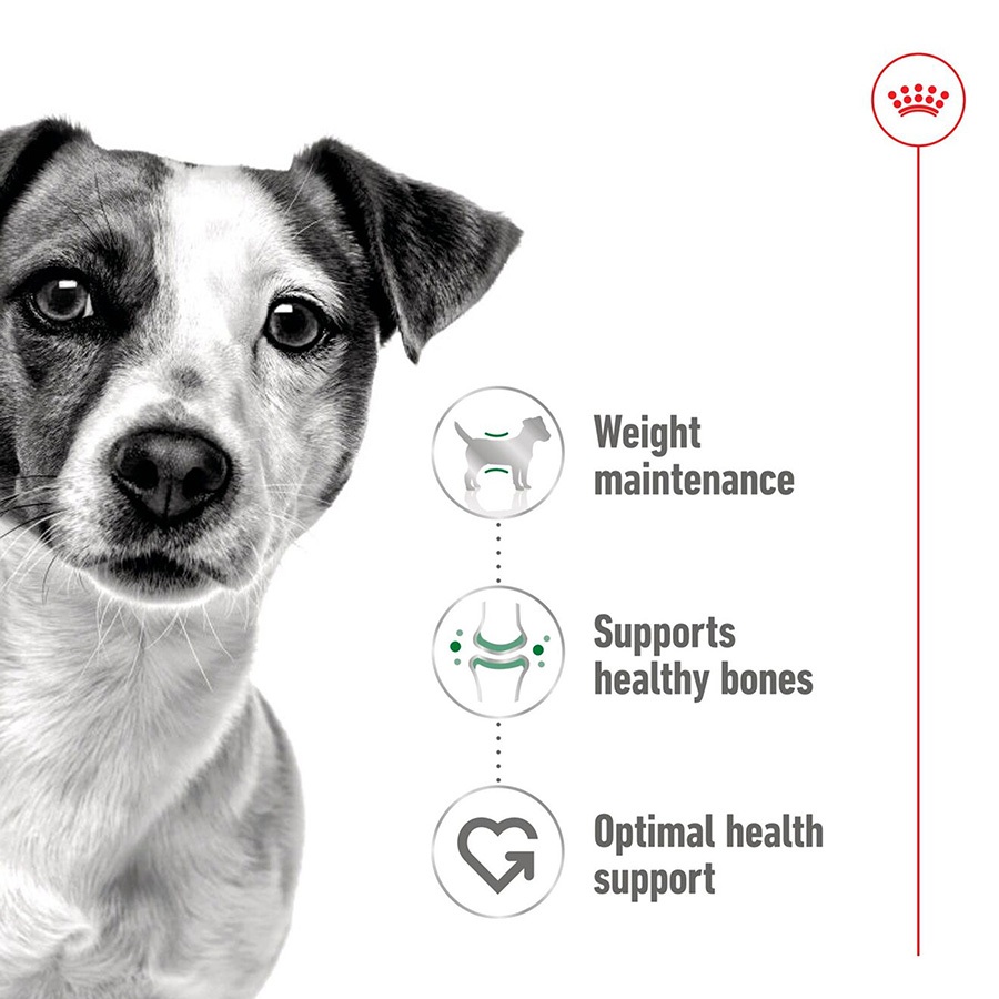 PETClub Royal Canin Dog Mini Adult Gravy Pouch รูปที่ 2