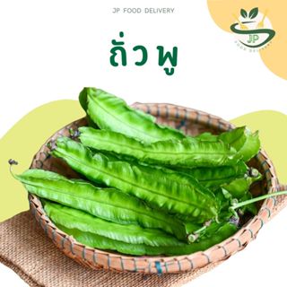 Jp Food Delivery ผักสด l ผักพื้นบ้าน ถั่วพู สด กรอบ 200 กรัม