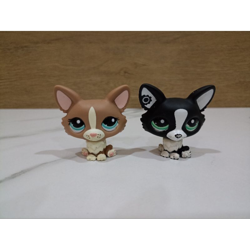 ตัวเล่น lps ของแท้ #littlest pet shop#lps