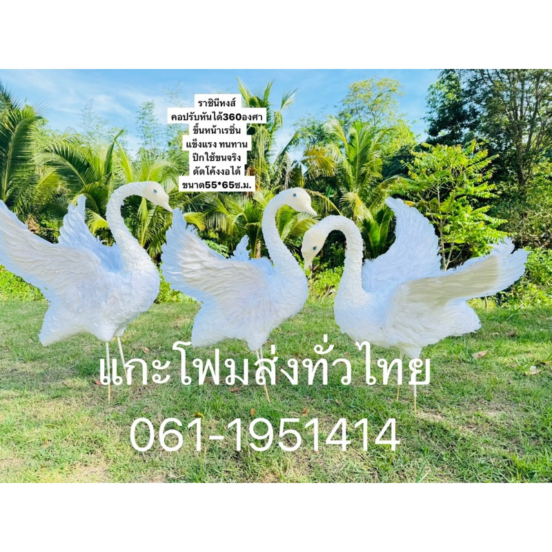 งานใหม่ต้องมี หง #หงส์กางปีก