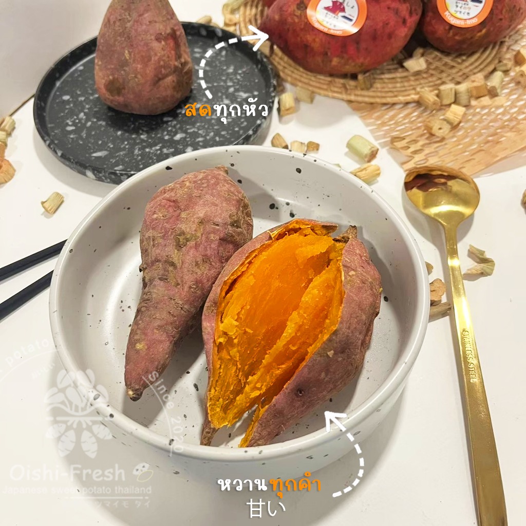 รูปภาพ 6