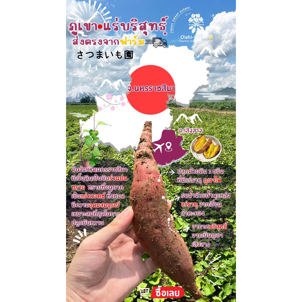 รูปภาพ 3