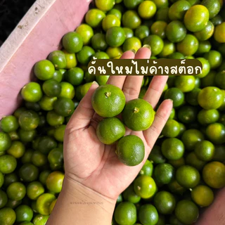 น้ำมะปี๊ด 100% (ส้มจี๊ด) I ไม่ผสมน้ำตาล ไม่ผสมน้ำ จากสวนจังหวัดจันทบุรี