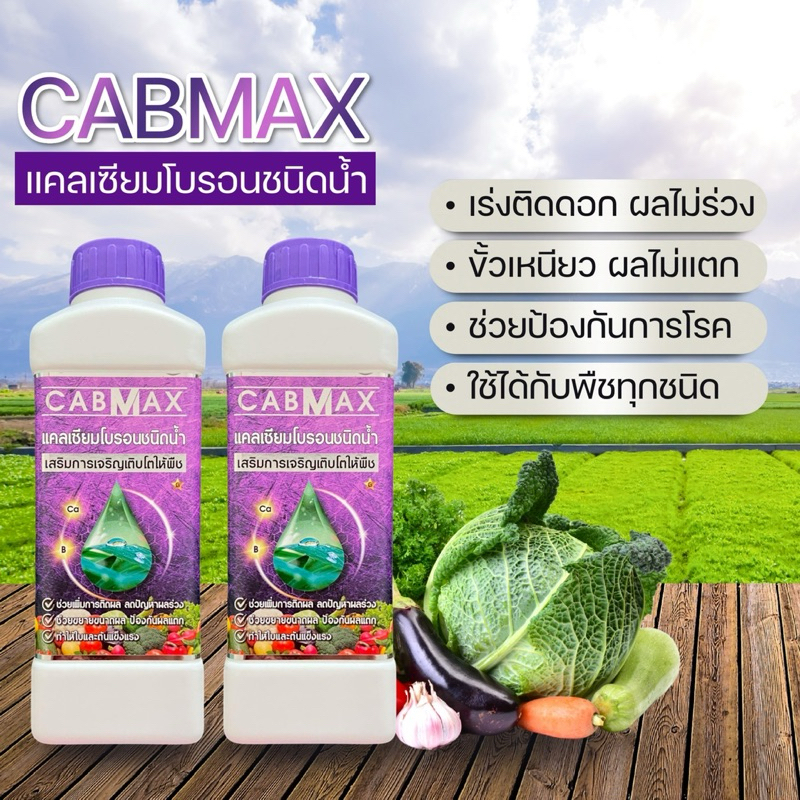 ปุ๋ยน้ำแคลเซี่ยมโบรอน CABMAX 1 ลิตร แถม CABMAX 1 ลิตร (C2)