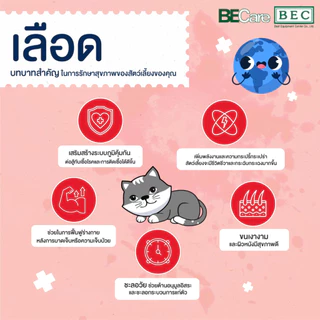 Care-A-Pet BTablet อาหารเสริมบำรุงเลือด และเสริมภูมิคุ้มกัน ชนิดเม็ด สำหรับสุนัขและแมว
