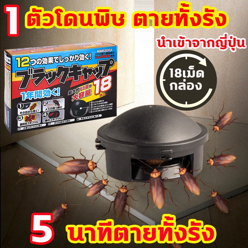บ้านแมลงสาบ กำจัดแมลงสาบ ฆ่าแมลงสาบ ดักแมลงสาบ ยาฆ่าแมลงสาบ ยากำจัดแมลงสาบ แมลงสาบ