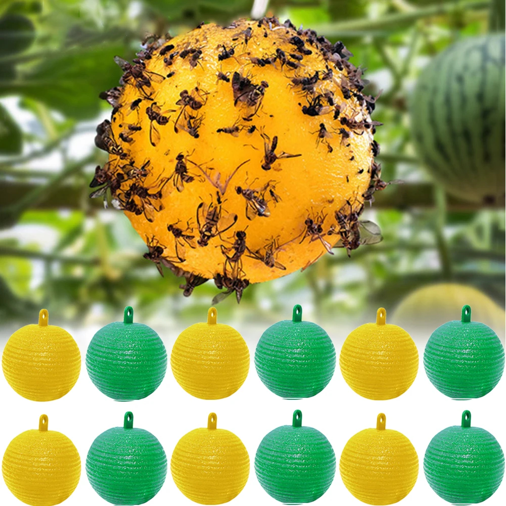 ลูกบอลไล่แมลง 8 ซมไล่แมลงวันทอง Fly Trap Ball ที่ดักแมลงวันทอง ไม่กลัวฝน กำจัดแมลงหวี่ เครื่องไล่แมลงวันดักแมลงวัน