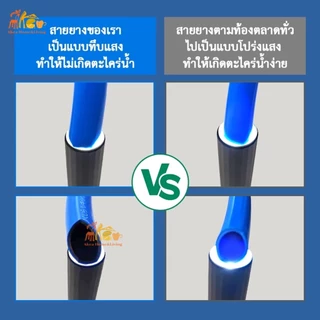 สายยาง สายยางสีฟ้า ขนาด 1/2" 10m-50m รดน้ำต้นไม้ เนื้อหนา นิ่ม เด้ง อย่างดี พร้อมส่ง รดน้ำผัก ล้างรถ ล้างพื้น