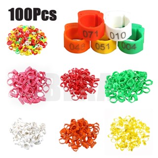 ห่วงขาไก่ ห่วงขาไก่ชน ปลอกขาไก่ชน ห่วงใส่ขาไก่ ปรับขนาดห่วงไ…