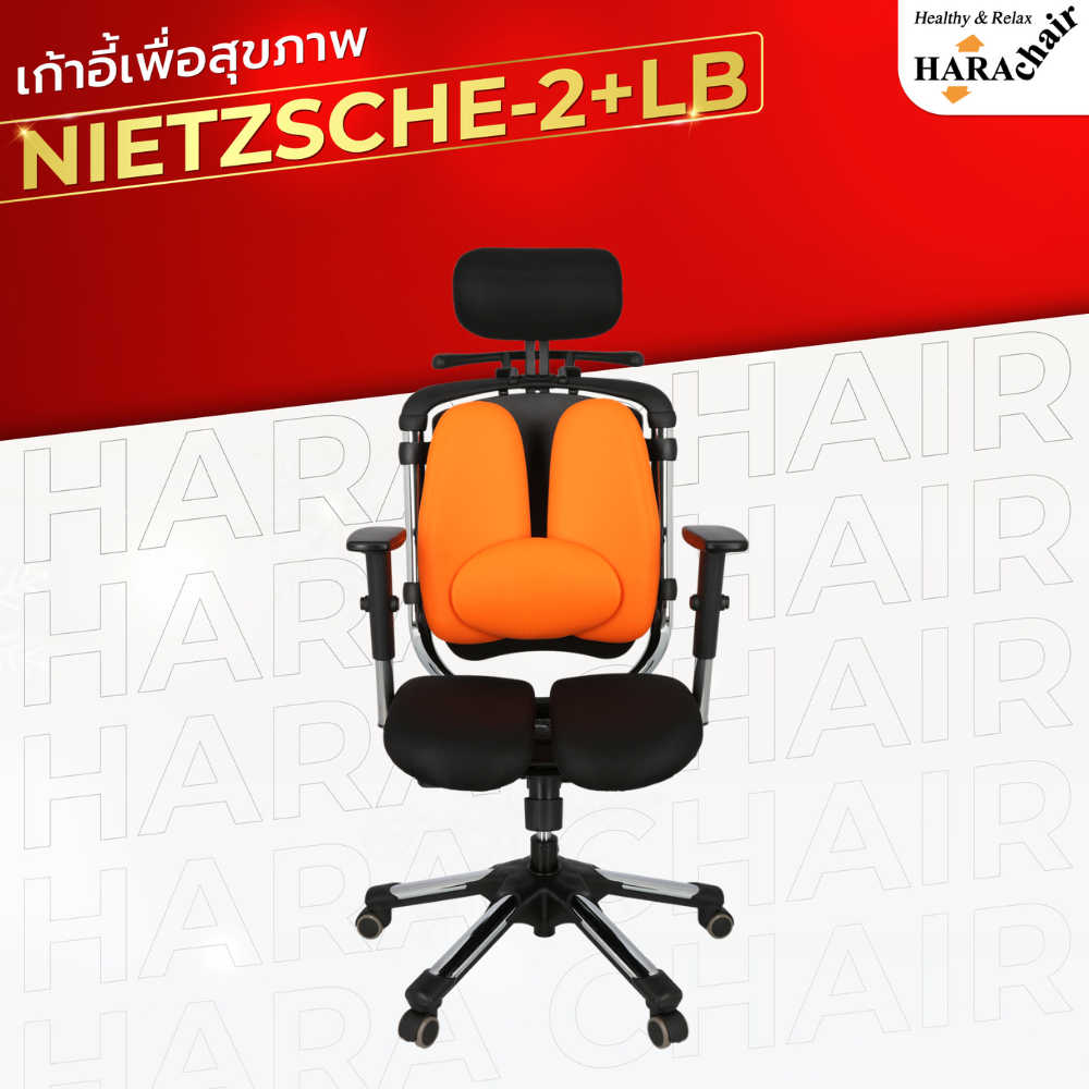 [ฮาร่าแชร์] HARA CHAIR เก้าอี้สำนักงานเพื่อสุขภาพ รุ่น NIETZSCHE 2 LB  W65xD50xH110-130 cm.