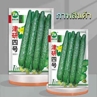 70 เมล็ด มล็ดพันธุ์แตงกวาญี่ปุ่น สายพันธุ์แท้ ปลูกง่าย ลูกดก