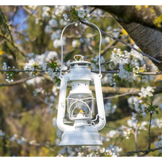 Feuerhand Baby Special 276 Pure White