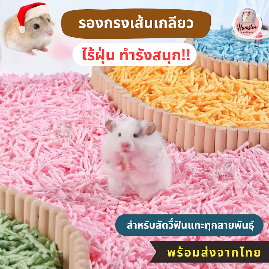Hamsterthailand รองกรงเส้นเกลียว รองกรงแฮมสเตอร์ รองกรงเม่นแคระ รองกรงกระดาษ สัตว์เลี้ยง